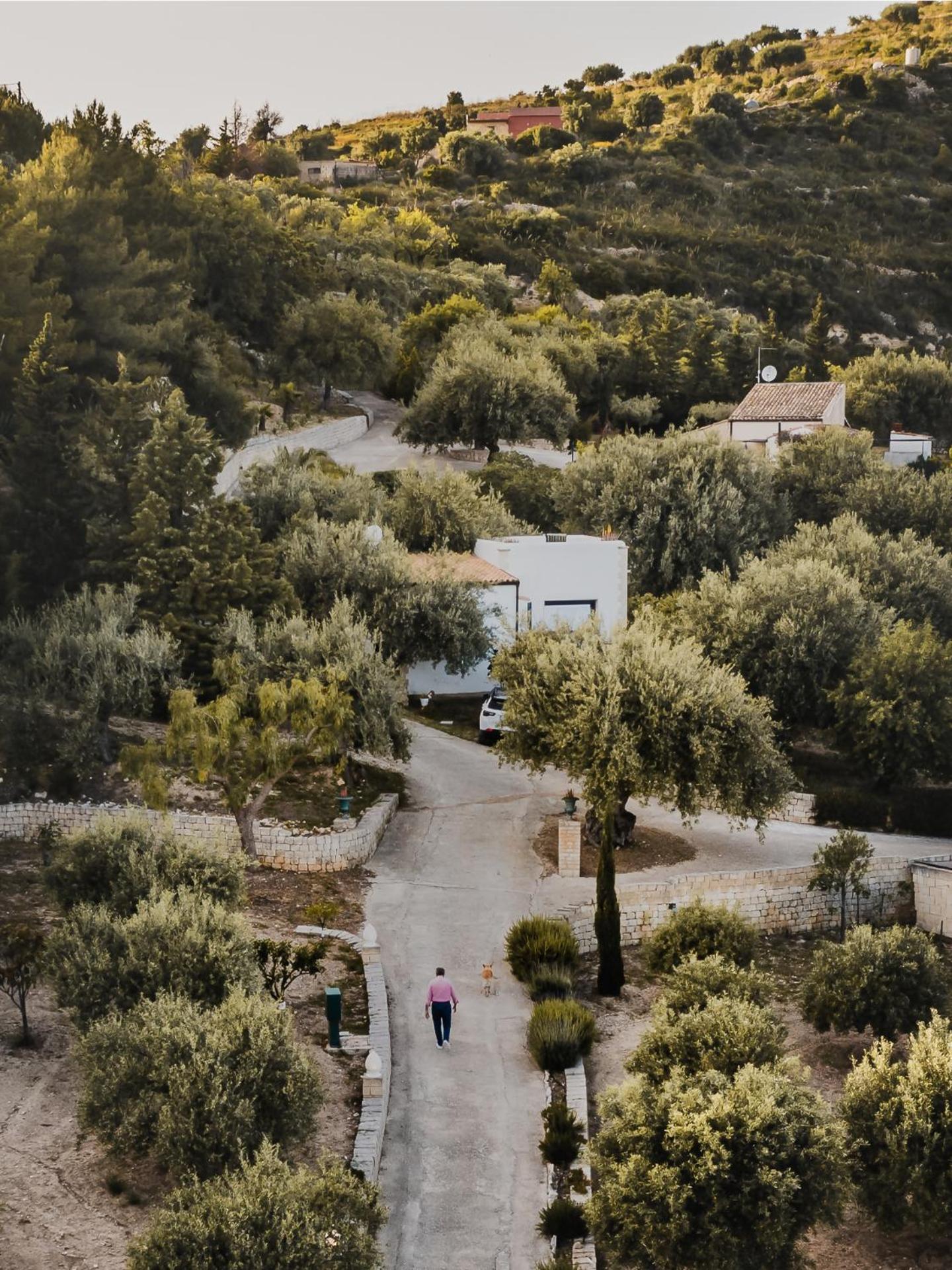 Tenuta Olive Alive Noto Kamer foto