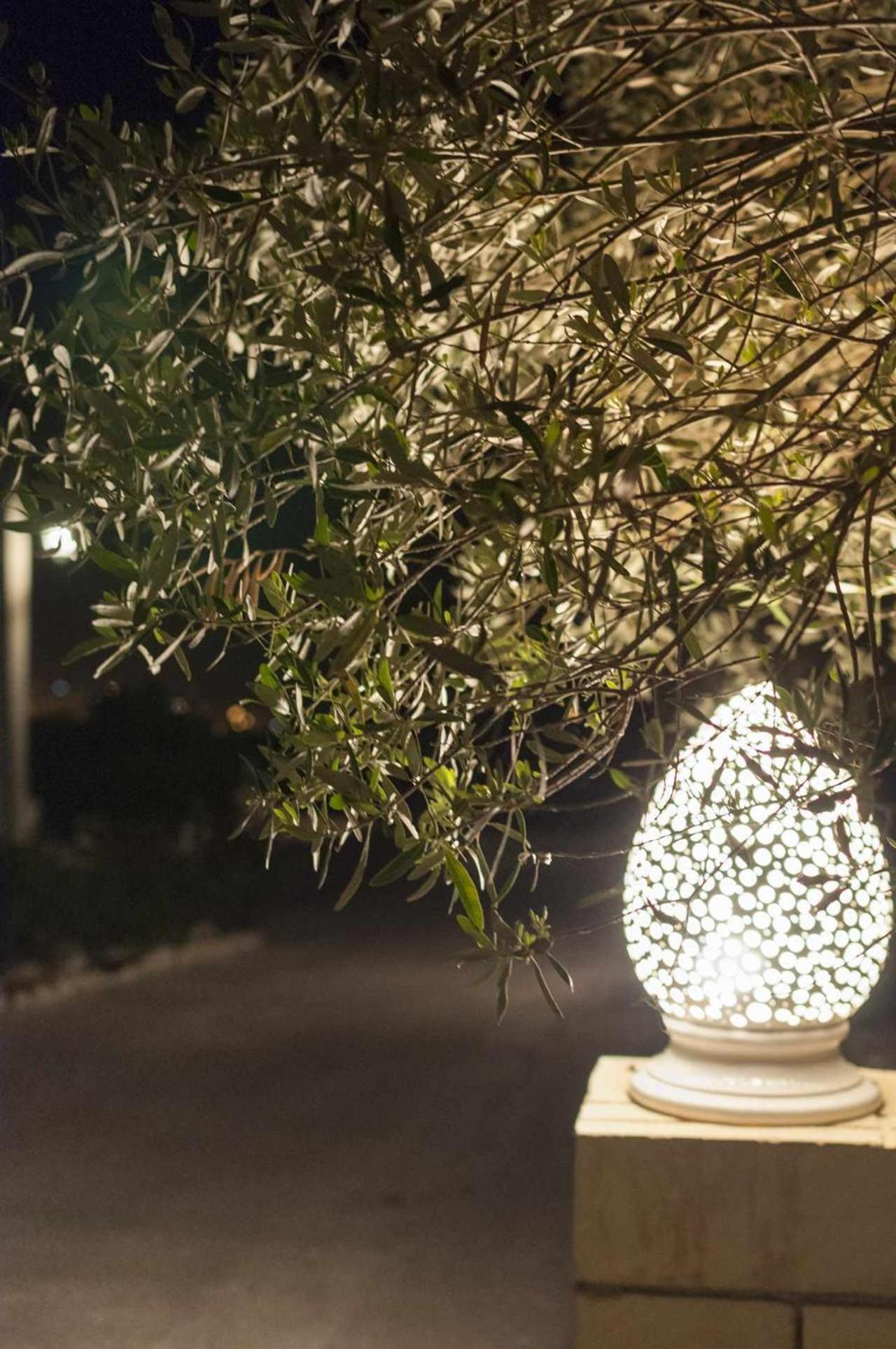 Tenuta Olive Alive Noto Buitenkant foto